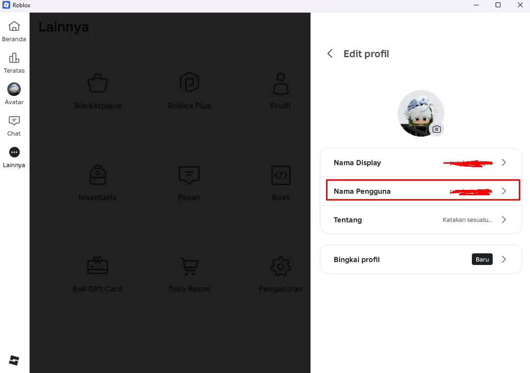 Halaman Edit profil Roblox dengan pilihan Nama Pengguna ditandai